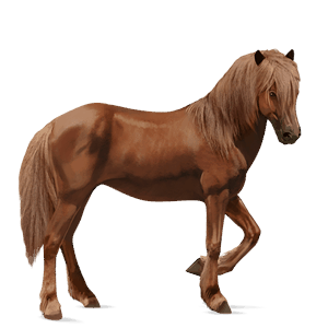 caballo de montar alazán