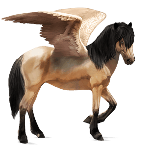 pegaso de montar pura raza española gris tordo