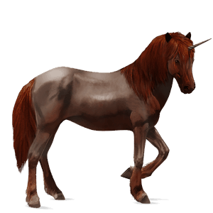 unicornio de montar pura raza española bayo cereza