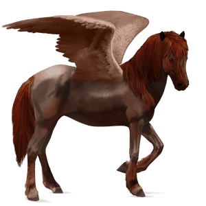 pegaso de montar pura raza española bayo tostado