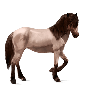 caballo de montar peruano de paso alazán
