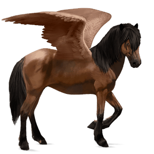 pegaso de montar finlandés bayo