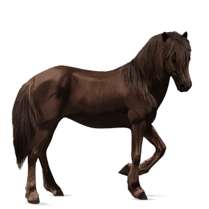 caballo de montar hanoveriano alazán
