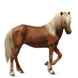 caballo de montar lusitano gris claro