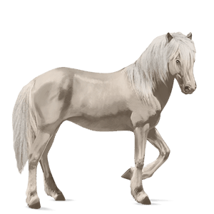 caballo de montar cuarto de milla cremello