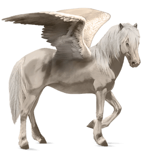pegaso de montar cremello