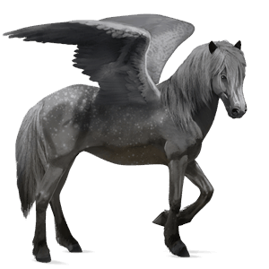 pegaso de montar pura raza española gris tordo