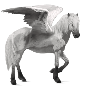 pegaso de montar bayo