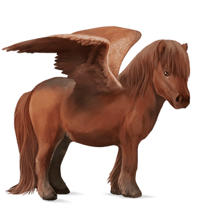 poni pegaso shetland alazán