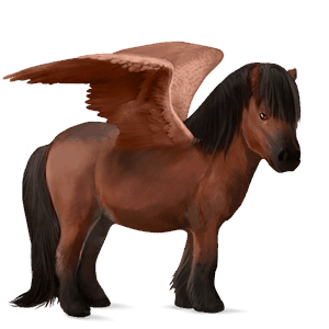 poni pegaso shetland pío tobiano palomino