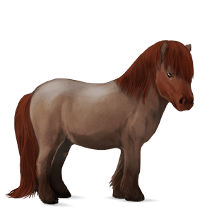caballo de montar cuarto de milla alazán