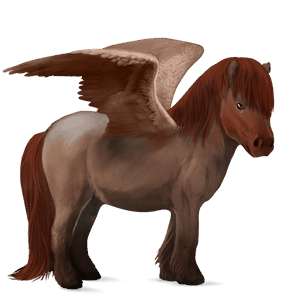 poni pegaso shetland alazán tostado