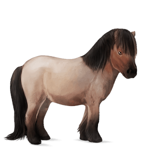 poni alazán