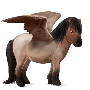poni pegaso shetland pío tobiano palomino