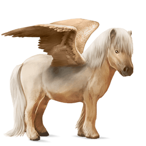 poni pegaso fjord brunblakk