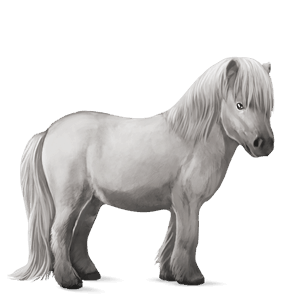 poni conemara alazán