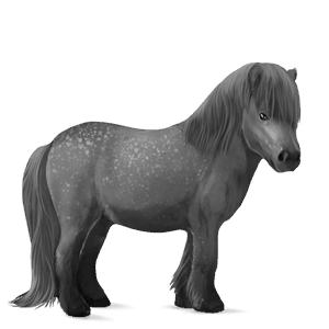 poni poni highland gris ratón