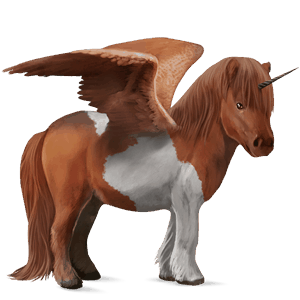 unicornio poni alado  shetland pío tobiano palomino