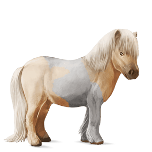 poni chilote alazán