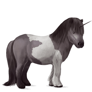 unicornio poni conemara gris tordo