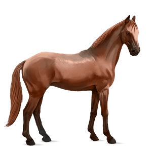 caballo de montar trakehner alazán