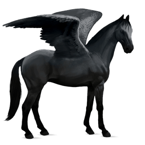 pegaso de montar negro