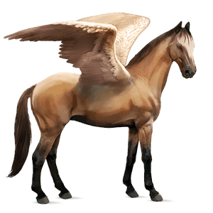 pegaso de montar kwpn isabelo