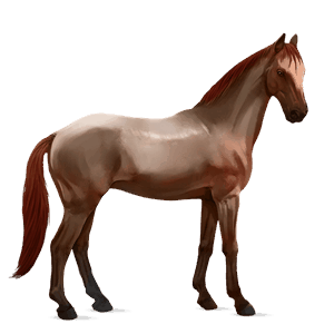 caballo de montar roano