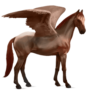 pegaso de montar cuarto de milla bayo cereza