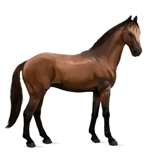 caballo de montar tennessee walker bayo
