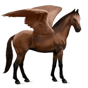 pegaso de montar cuarto de milla bayo