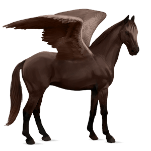 pegaso de montar lusitano bayo tostado