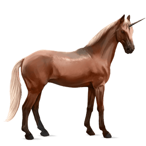 unicornio de montar cuarto de milla negro