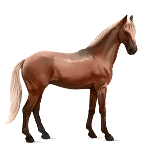 caballo de montar alazán crines lava
