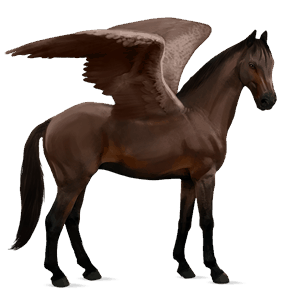 pegaso de montar lusitano bayo tostado
