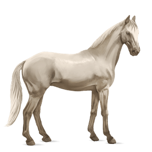 caballo de montar tennessee walker bayo