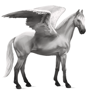 pegaso de montar cuarto de milla gris claro