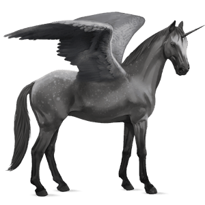 unicornio de montar alado kwpn gris tordo
