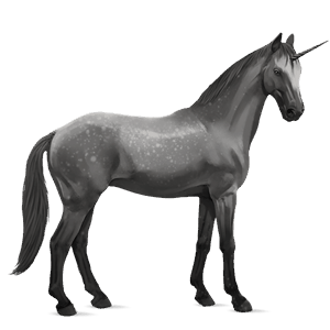 unicornio de montar trakehner gris tordo