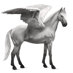 pegaso de montar hunter irlandés cremello