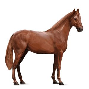 caballo de montar hanoveriano alazán