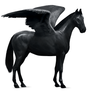 pegaso de montar hanoveriano bayo tostado