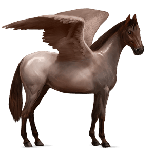 pegaso de montar kwpn bayo tostado