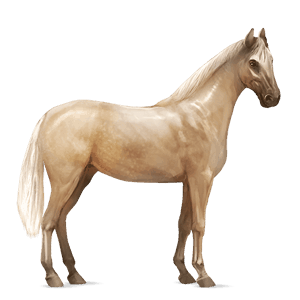 caballo de montar isabelo