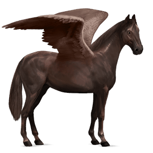 pegaso de montar kwpn alazán