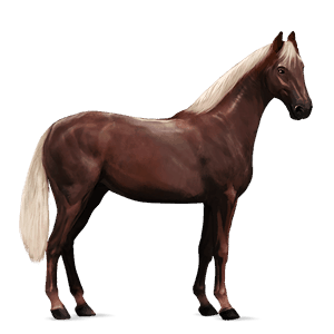 caballo de montar palomino
