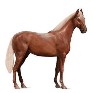 caballo de montar cuarto de milla alazán crines lava