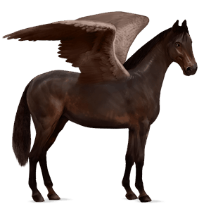 pegaso de montar peruano de paso bayo