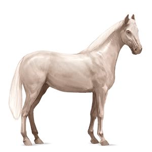 caballo de montar pura raza española gris claro
