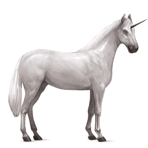 unicornio de montar kwpn gris claro